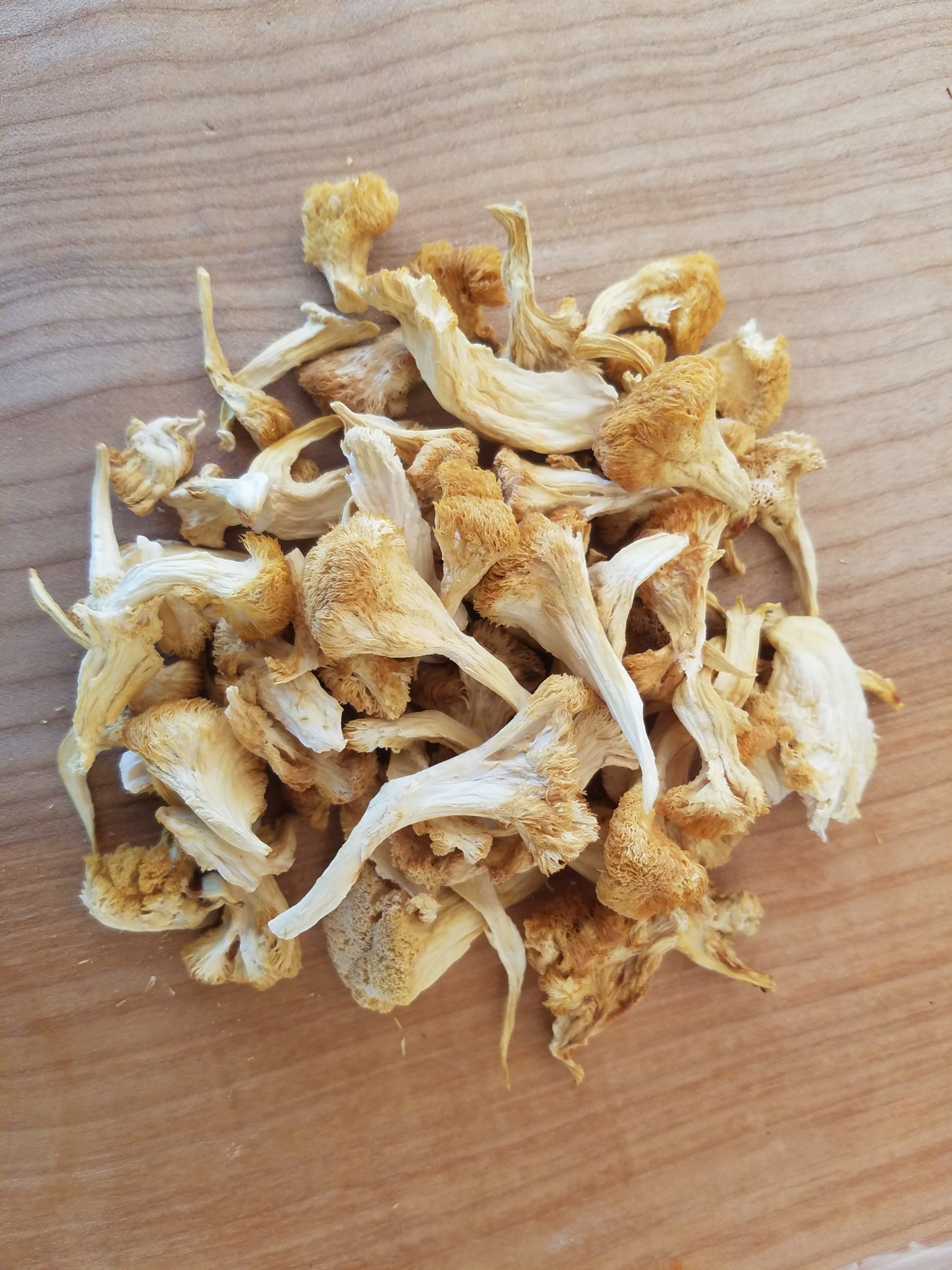 Lion's Mane Mushroom 2oz - Adam's Mushrooms